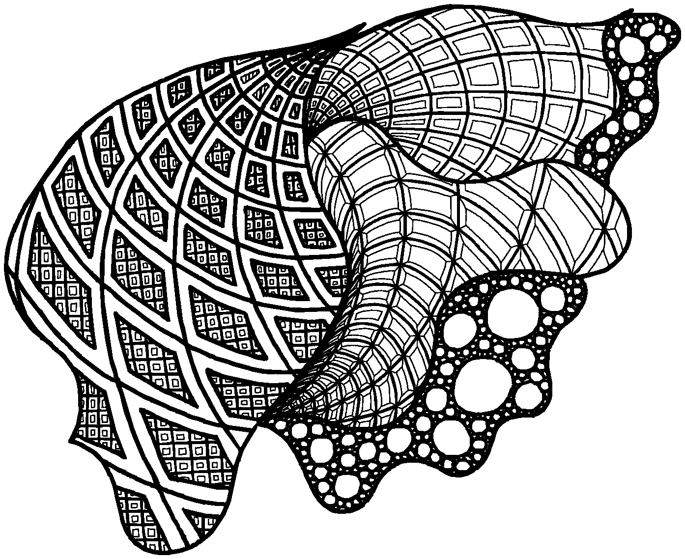 Ink drawing: a shell of woven grids opening into a cluster of bubbles