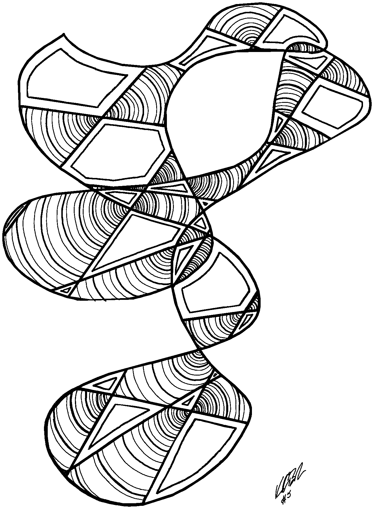Ink drawing: a banded spiral folding back on itself