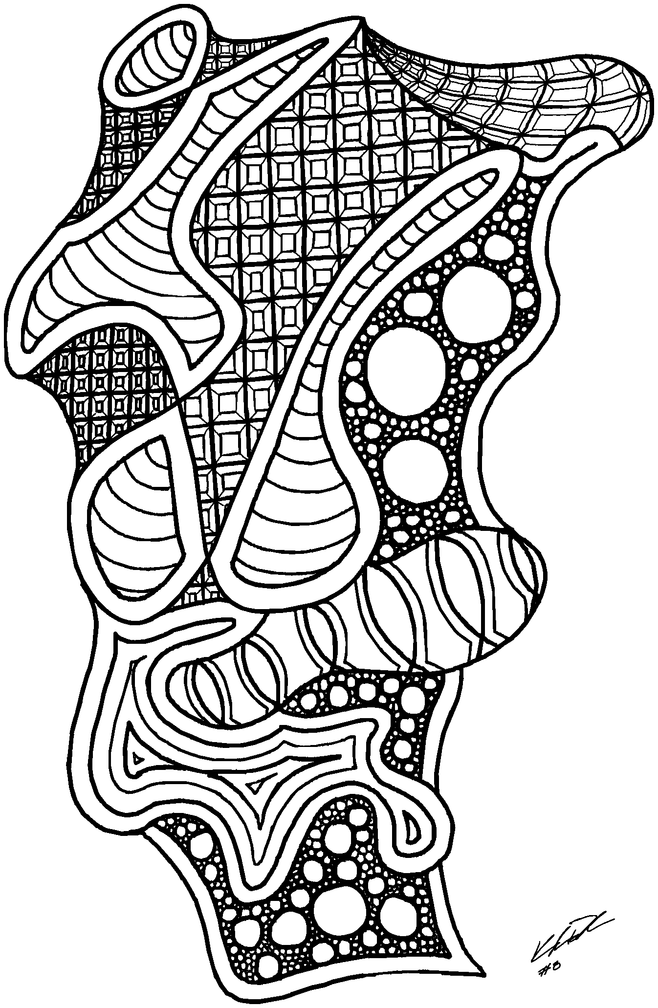 Ink drawing: an outlined organic mass filled with scales and waves