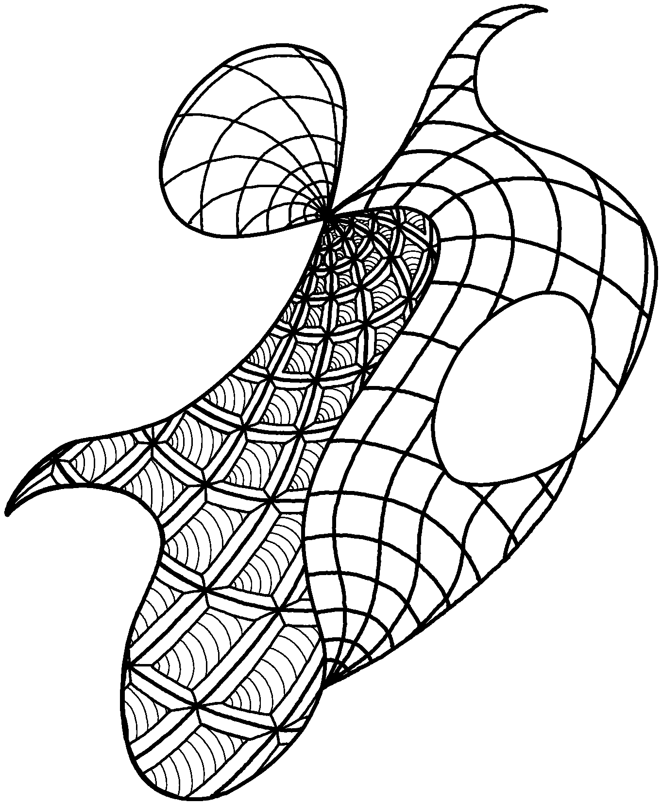 Ink drawing: a curling shape with a fine mesh interior
